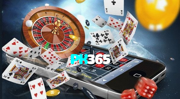 available types of PK365 bet including pre-match live express and system bets